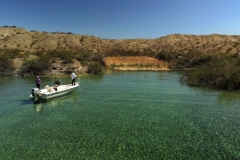 Bass Fishing Lake Mohave March 28, 2021