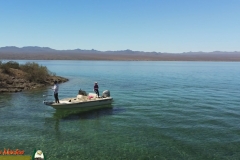 Bass-Fishing-Lake-Mohave-03-28-2021