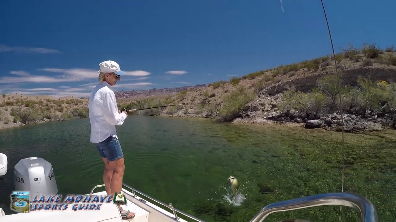 Bass-Fishing-Lake-Mohave-Arizona