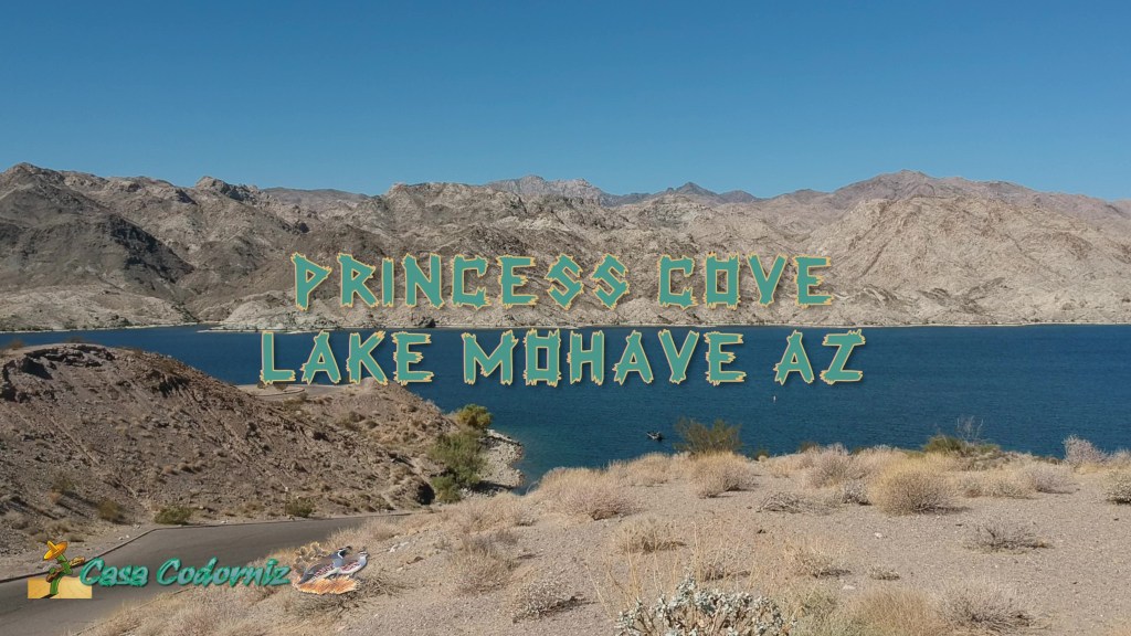 Lake-Mohave-Princess-Cove-Spark-10-13-2019-