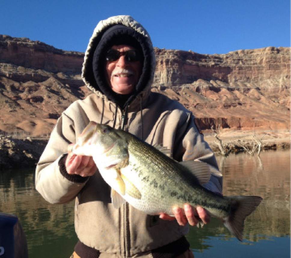 lake_mohave_bass_fishing_guide