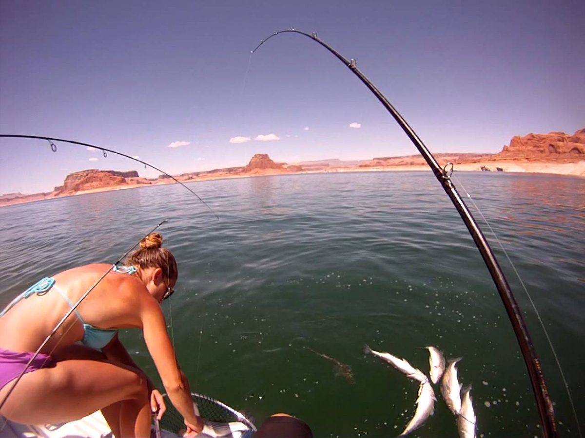 lake_mohave_fishing_guide