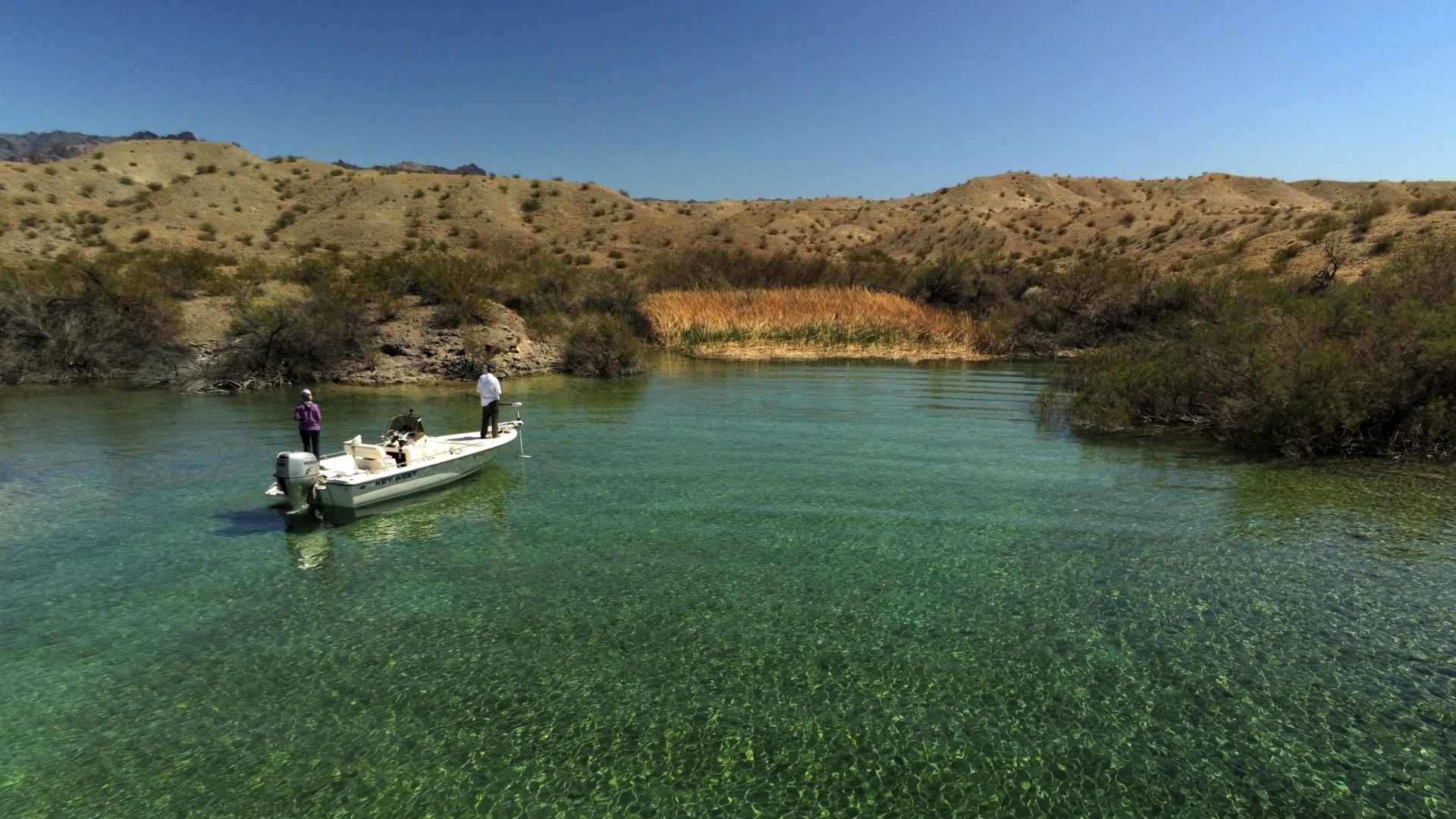 Lake Mohave Fishing Report March 3, 2022