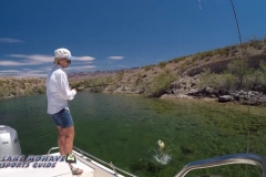 Bass-Fishing-Lake-Mohave-Arizona Bass-Fishing-Lake-Mohave-Arizona