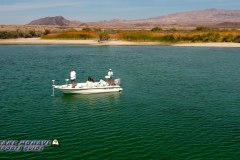 Bass-Fishing-Near-Cottonwood-Cove Bass-Fishing-Near-Cottonwood-Cove