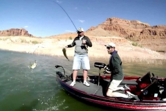 bass_boat_fishing bass_boat_fishing