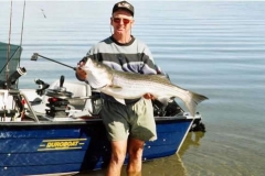 jimhoughelephantbuttenmwstriper jimhoughelephantbuttenmwstriper
