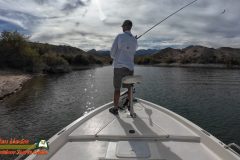 Lake-Mohave-Action4-11-11-2025_000411_04-scaled