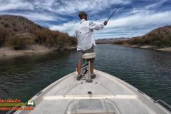 Lake-Mohave-Action4-11-11-2025_000523_06-scaled