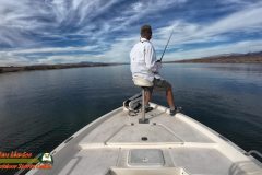 Lake-Mohave-Action4-11-11-2025_000536_07-scaled