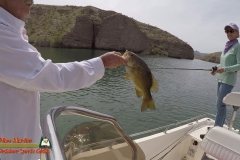 Lake-Mohave-Bass-Fishing-Anafi-03-31-2020 Lake-Mohave-Bass-Fishing-Anafi-03-31-2020