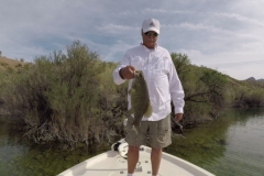 Lake-Mohave-Island-Pocket-Small-April-2019 Lake-Mohave-Island-Pocket-Small-April-2019