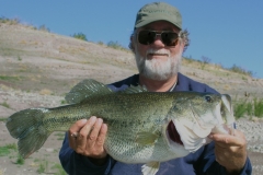 lake-mohave-largemouth lake-mohave-largemouth