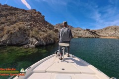 Lake-Mohave-Smallmouth-Sight-Fishing-AcePro2-03-16-2025_000234_06