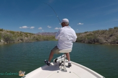 Long-Bank-Big-Pocket Long-Bank-Big-Pocket