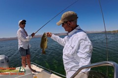 Mid-April-Smallmouth-AcePro2-04-14-2025_000143_07 Mid-April-Smallmouth-AcePro2-04-14-2025_000143_07