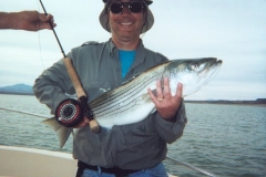 striper1 striper1