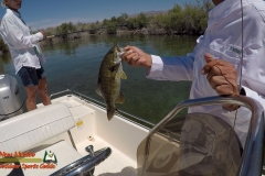 Bass-Fishing-Lake-Mohave-04-27-2020 Bass-Fishing-Lake-Mohave-04-27-2020