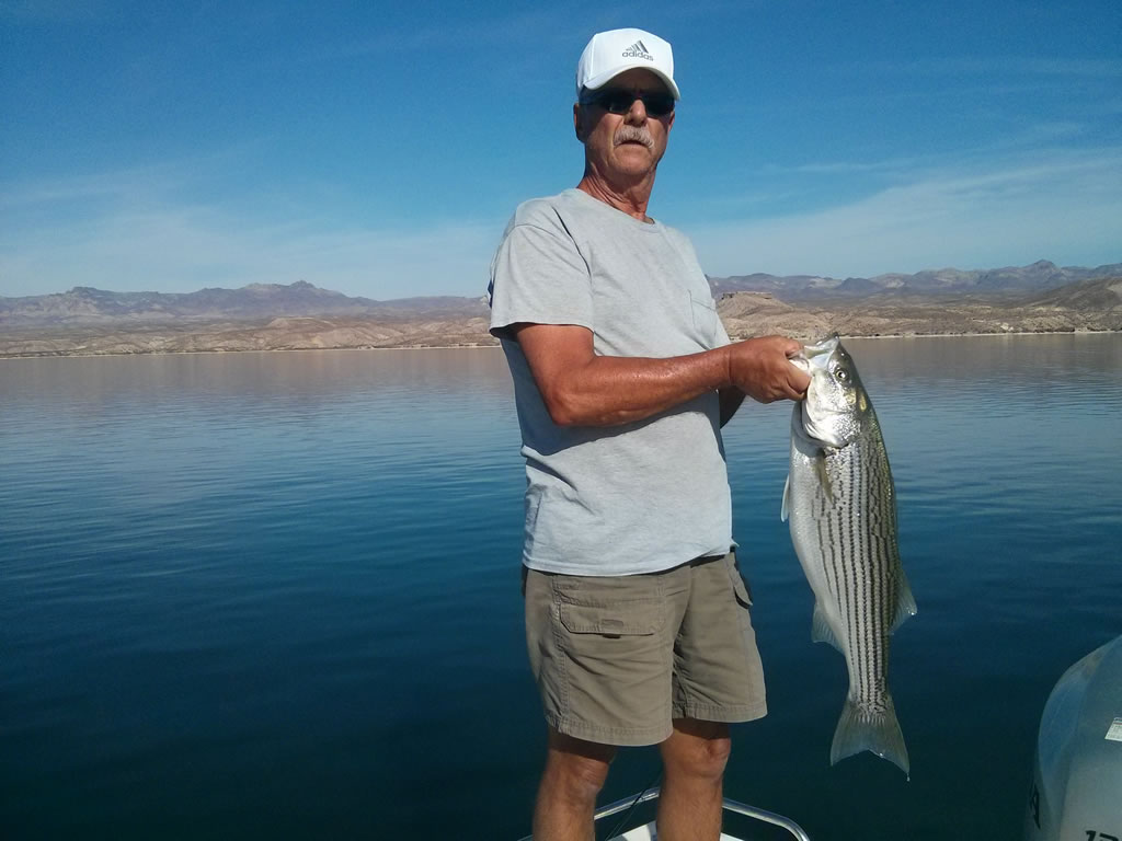 Lake Mohave Fishing Report July 15, 2016