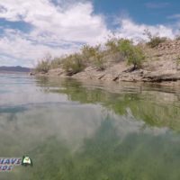 Lake Mohave Underwater Bass Video 4-19-2019 Smallmouth Bass Guarding Nest