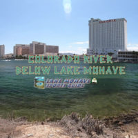 Colorado River Below Lake Mohave Colorado River