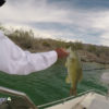 Lake Mohave Smallmouth Bass Fishing April 10, 2019 Lake Mohave Smallmouth Bass Fishing April 10, 2019