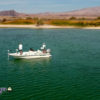 Bass Fishing at Lake Mohave Arizona Bass-Fishing-Near-Cottonwood-Cove