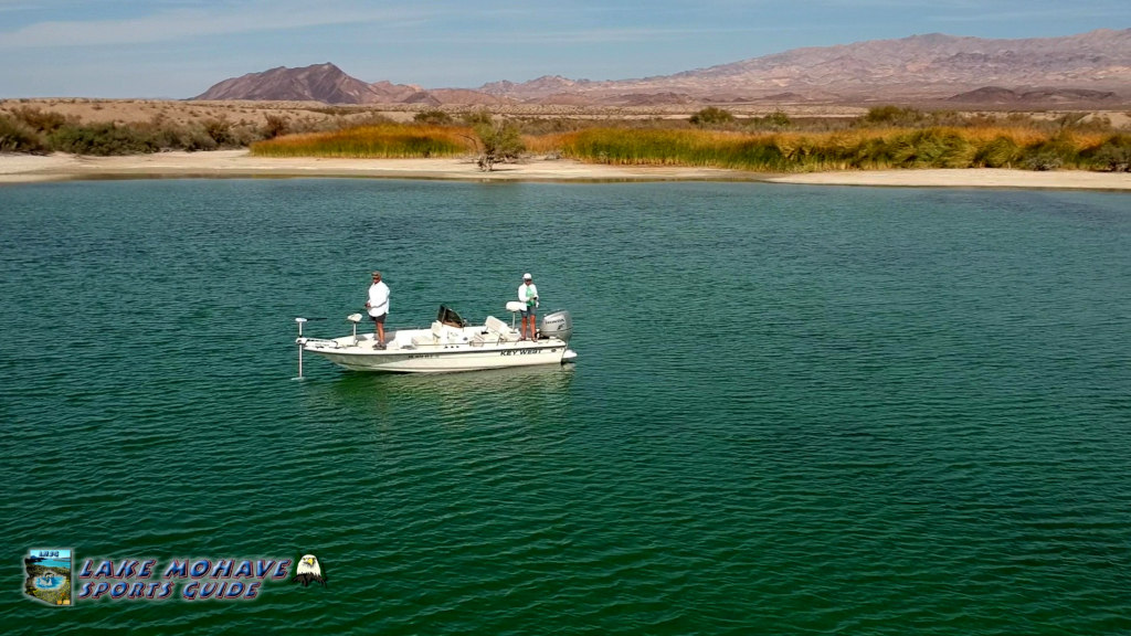 Bass Fishing at Lake Mohave Arizona