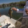 Bass Fishing Lake Mohave April 27, 2020 Bass Fishing Lake Mohave April 27, 2020