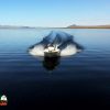 Bass Fishing Jade Green Clear Water of Lake Mohave Bass Fishing Jade Green Clear Water of Lake Mohave