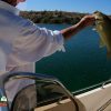 Bass Fishing Lake Mohave April 19, 2021