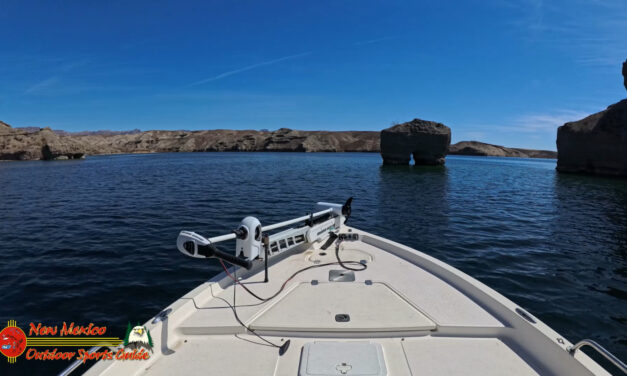 Exploring Coves on Lake Mohave March 4, 2025