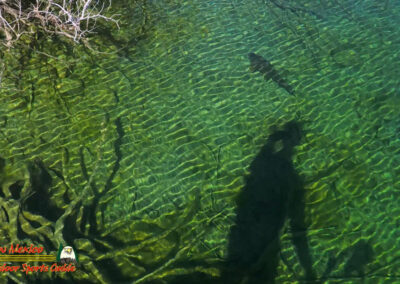Carp Lake Mohave 03-04-2025 Ace Pro