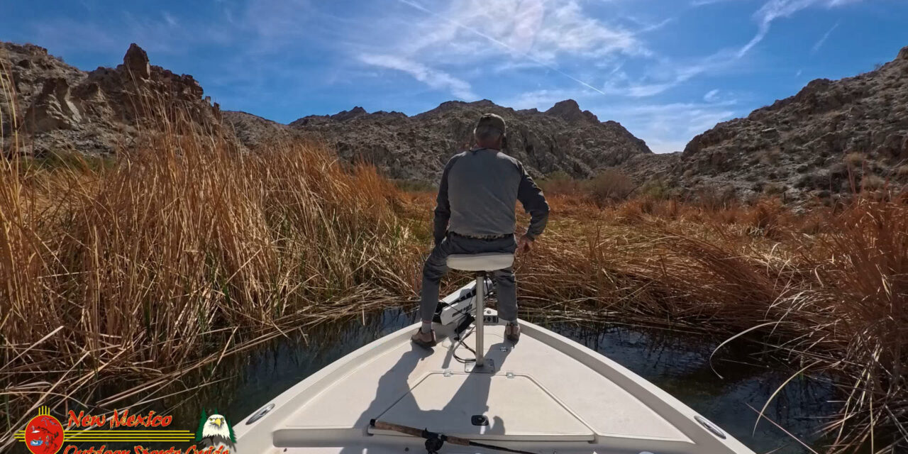 Pre Spawn Smallmouth Bass Sight Fishing March 2025