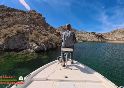 Lake Mohave Pre-Spawn Smallmouth Bass Fishing March 2025