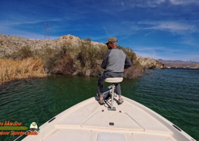 Lake Mohave Pre-Spawn Smallmouth Bass Fishing March 2025
