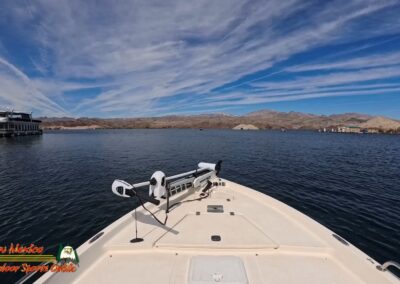 Lake Mohave Smallmouth Bass Action Pro 2
