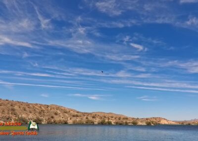 Lake Mohave Smallmouth Bass Action Pro 2