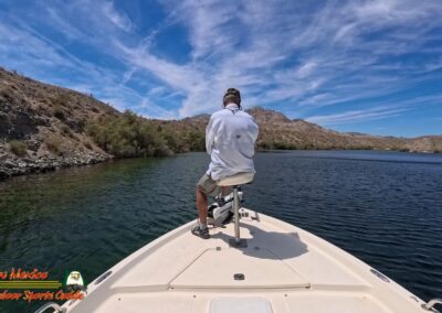 Lake Mohave Smallmouth Bass Action Pro 2