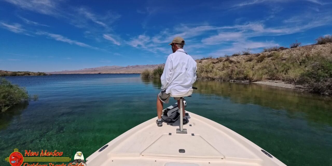 Smallmouth Bass Spawn