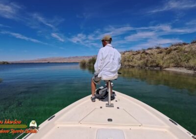 Lake Mohave Smallmouth Bass Action Pro 2