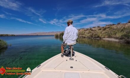 Smallmouth Bass Spawn 1 Lake Mohave Smallmouth Bass Action Pro 2
