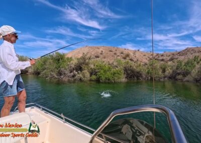 Lake Mohave Smallmouth Bass Action Pro 2