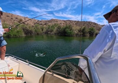 Lake Mohave Smallmouth Bass Action Pro 2