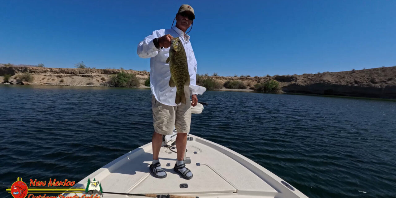 Lake Mohave Smallmouth Bass Fishing Mid April 2025