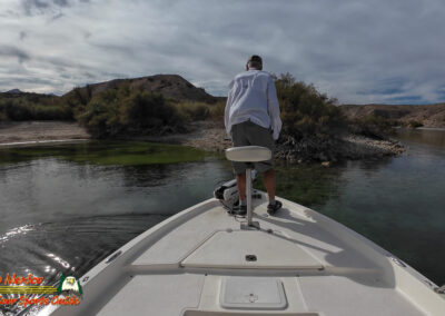 Lake Mohave 11-11-2025 Action 4