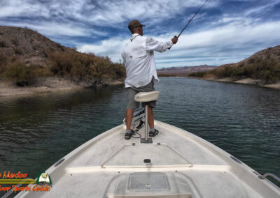 Lake Mohave 11-11-2025 Action 4
