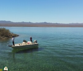 Bass-Fishing-Lake-Mohave-03-28-2021