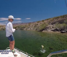 Bass-Fishing-Lake-Mohave-Arizona