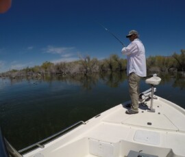 Lake Mohave Photos 44 DCIM100GOPROG0011604.JPG